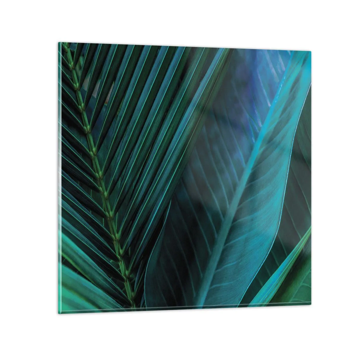 Quadro em vidro - Anatomia da vegetação - 70x70 cm