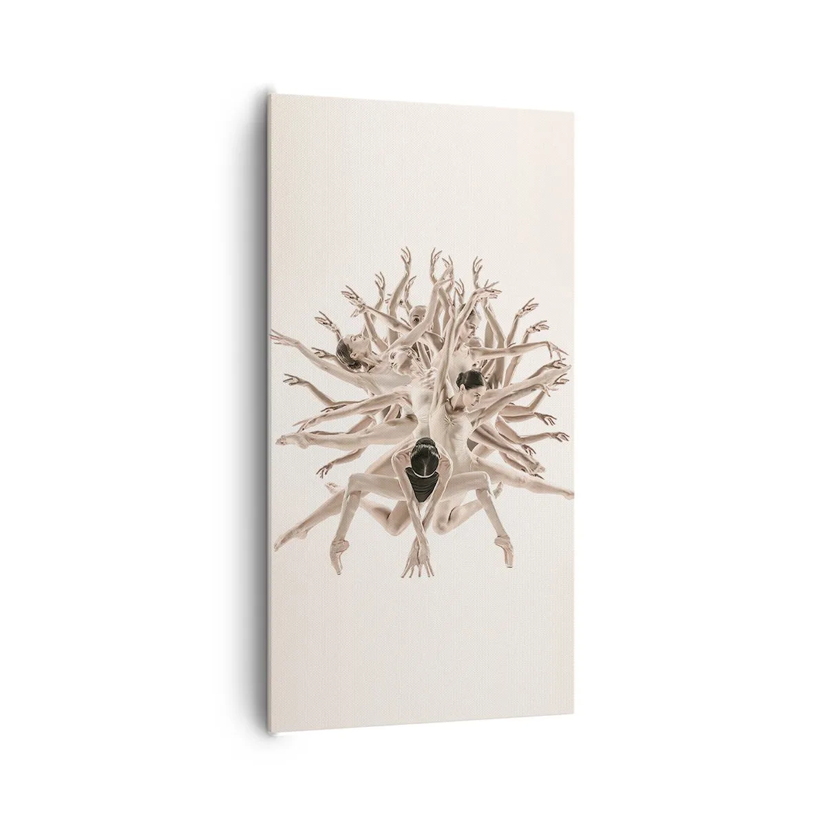 Quadro em tela - Florescendo na dança - 65x120 cm