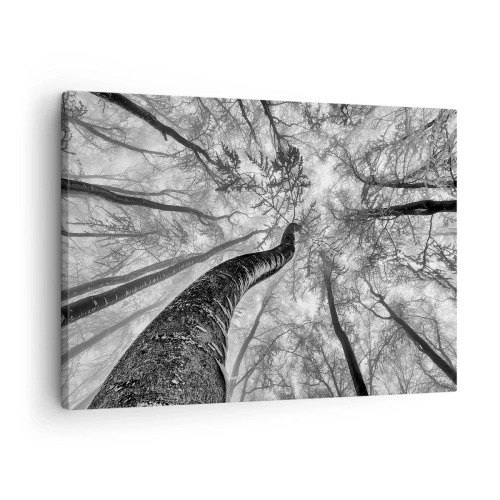 Quadro em tela - Perspectiva de árvores em uma floresta vista de baixo em tons de cinza - 70x50cm - Corrida até a luz - Decoração de parede moderna para a sala de estar e quarto ARTTOR