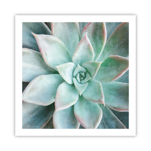 Pôster - O coração do deserto - 60x60 cm