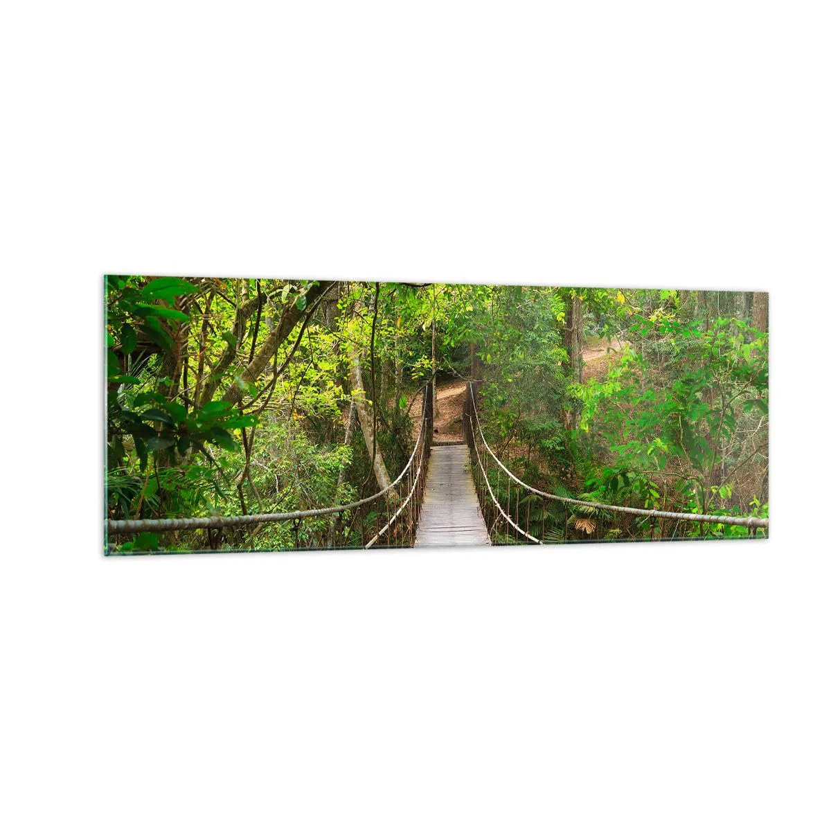Quadro em vidro - Porque há uma videira a crescer no jardim - 140x50 cm