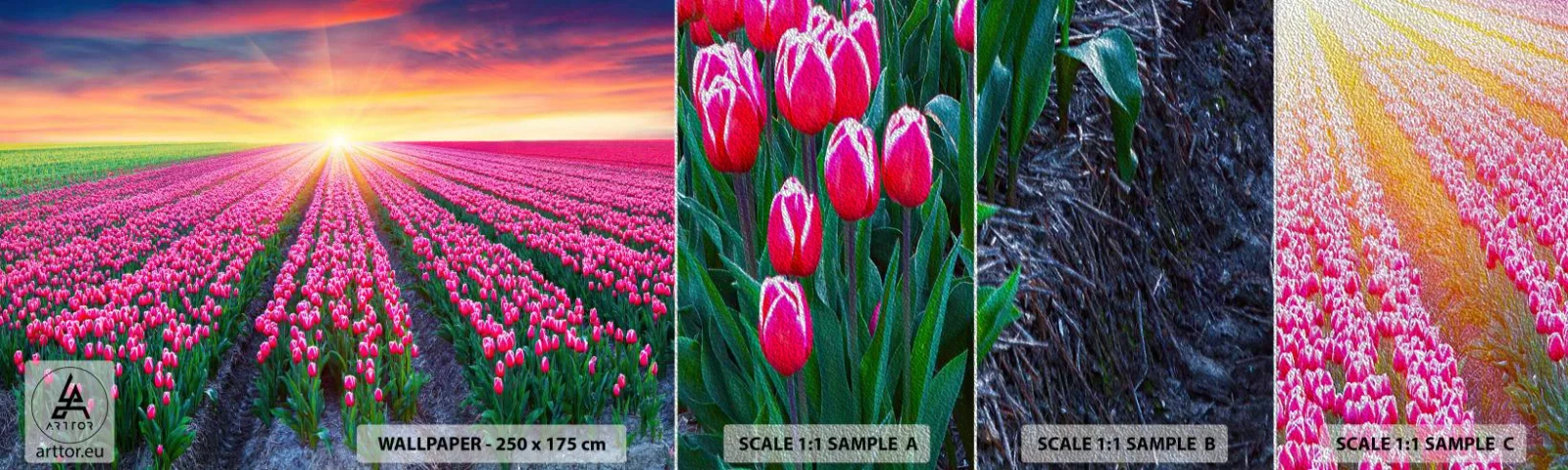 Amostra de papel de parede Premium Sand - Quinta da Beleza - Flores, Tulipas, Pôr do sol - 100x30 cm