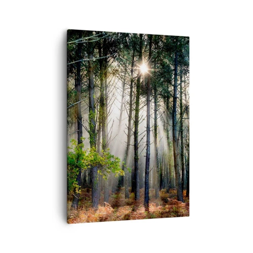 Quadro em tela - Uma área florestal - 50x70 cm