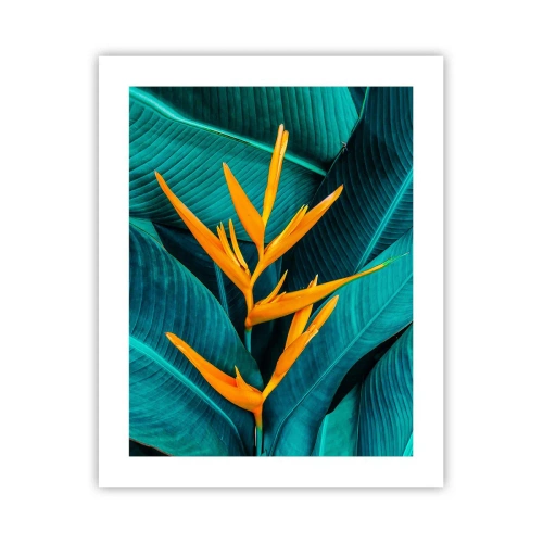 Pôster - Flor do Éden - 40x50 cm