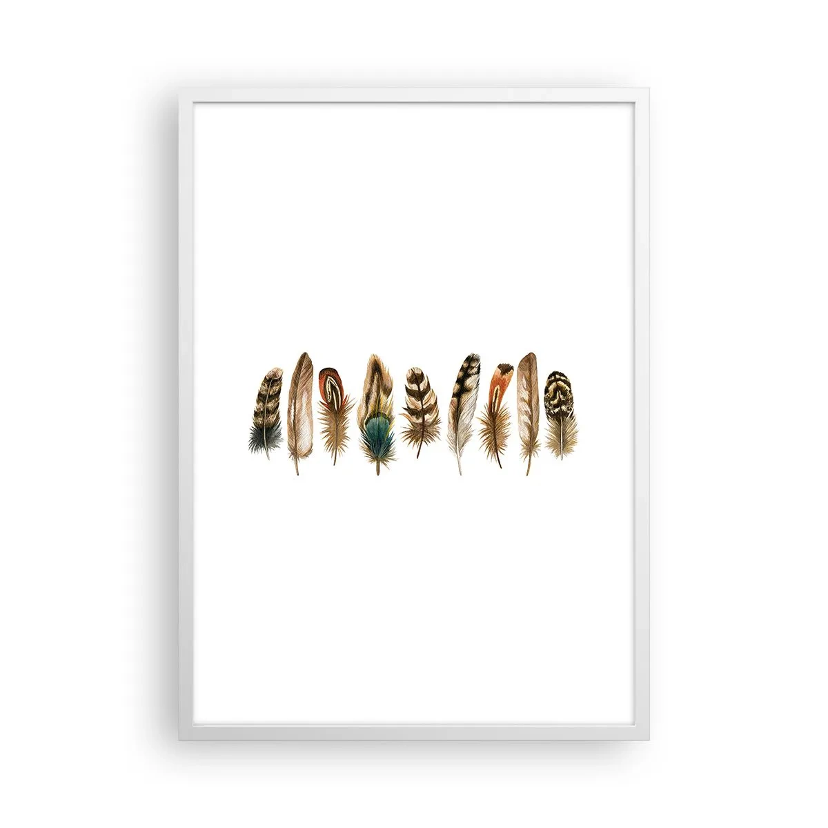 Pôster em moldura branca - Variações de penas - 50x70 cm