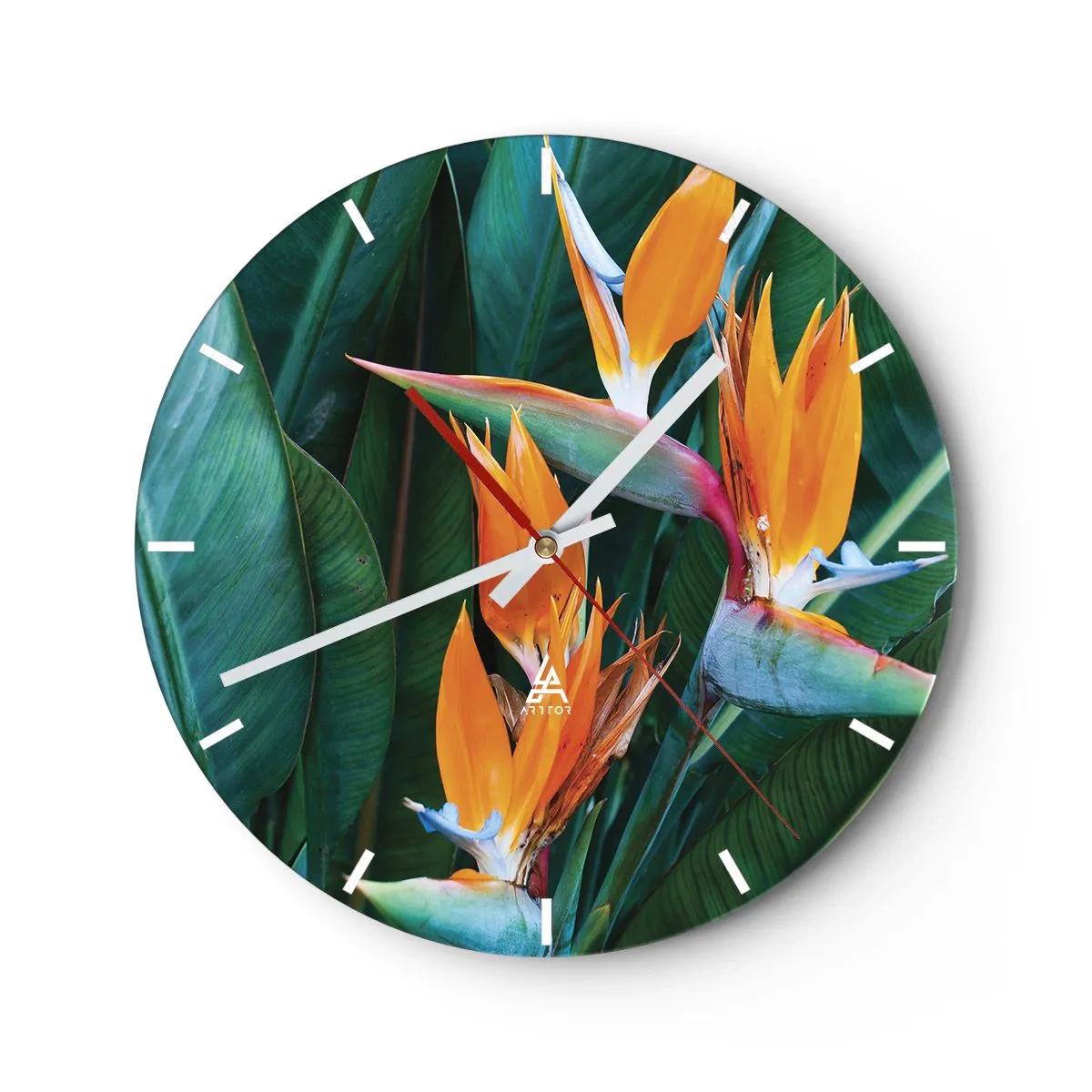 Relógio de parede - Relógio em vidro - Flores exóticas de strelitzia em um fundo de folhas verdes - 30x30cm - É uma flor ou é um pássaro? - Decoração de parede moderna para a sala de estar, cozinha e quarto ARTTOR