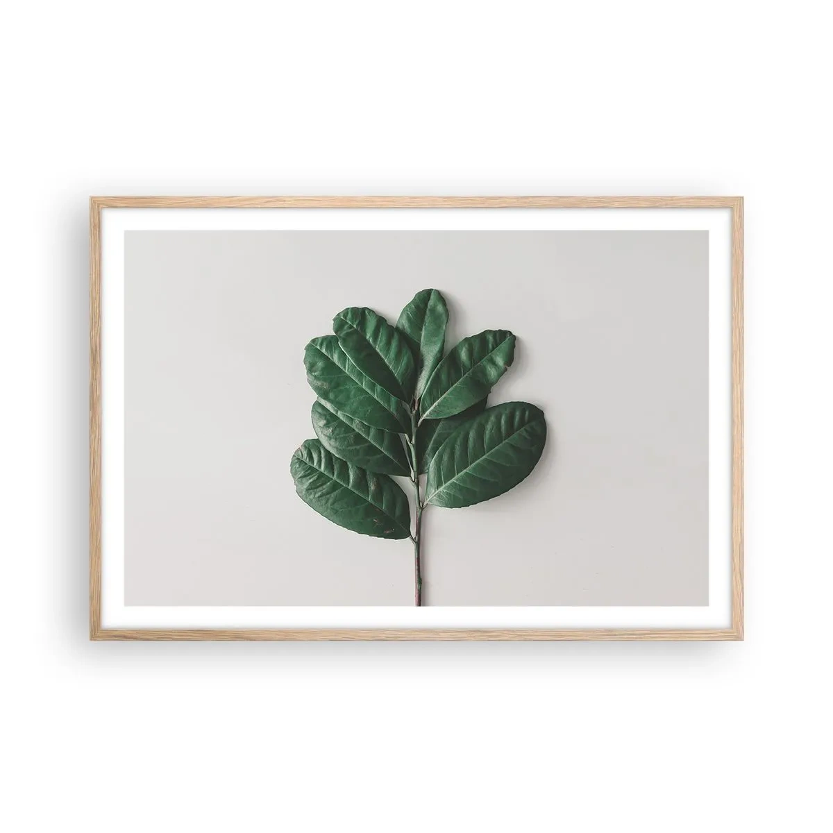 Pôster com moldura de carvalho claro - Desenho da própria natureza - 91x61 cm