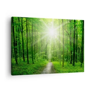 Quadro em tela - Caminho na floresta com raios de sol - 70x50cm - Catedral Verde - Decoração de parede moderna para a sala de estar e quarto ARTTOR