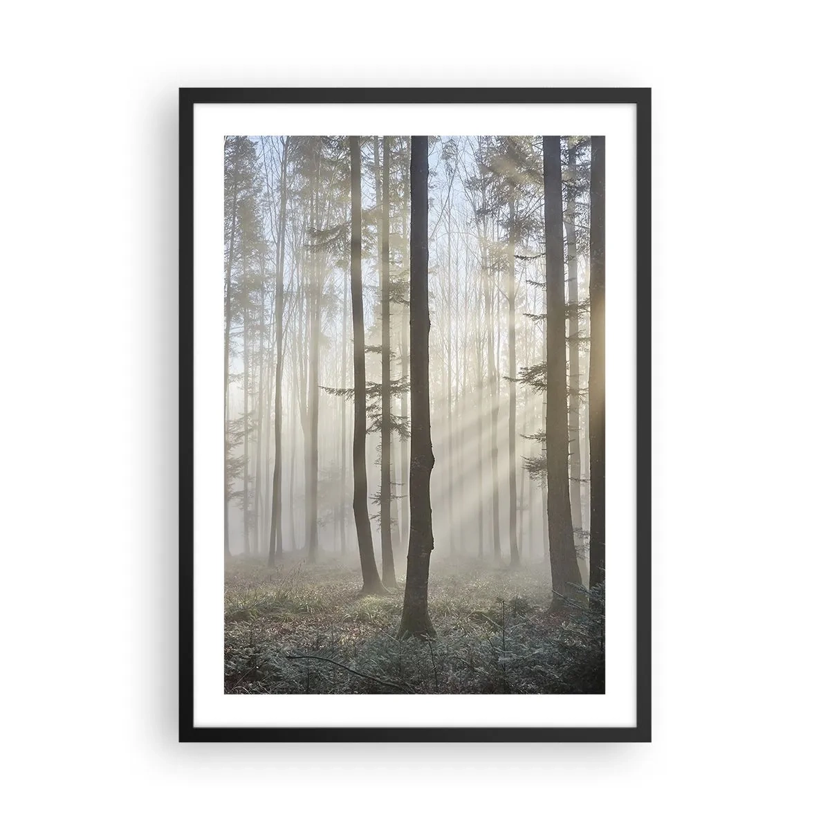 Pôster com moldura preta - Uma manhã de neblina na floresta com raios de sol - 50x70cm - O nevoeiro também acordou - Decoração de parede moderna para a sala de estar e quarto ARTTOR