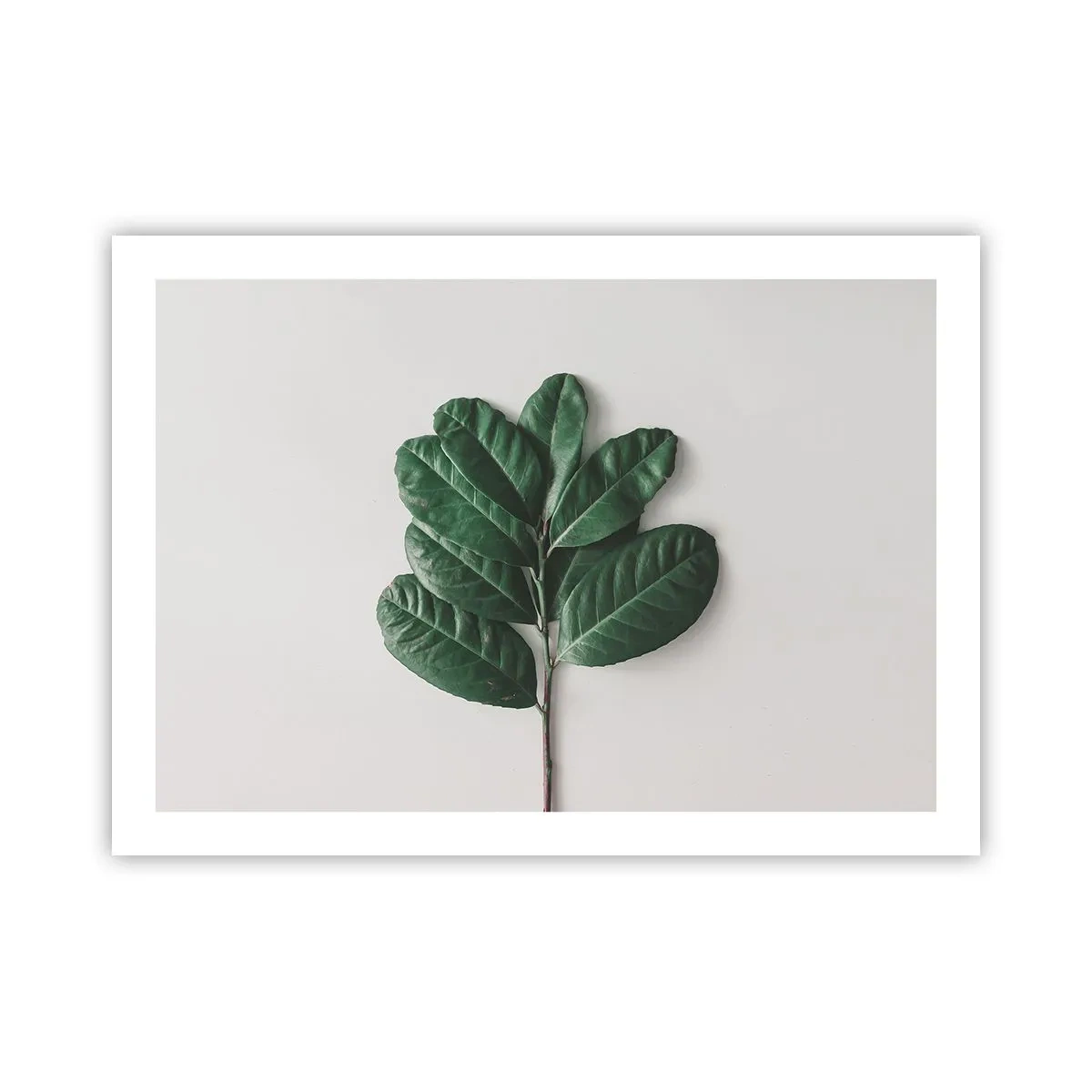 Pôster - Desenho da própria natureza - 70x50 cm