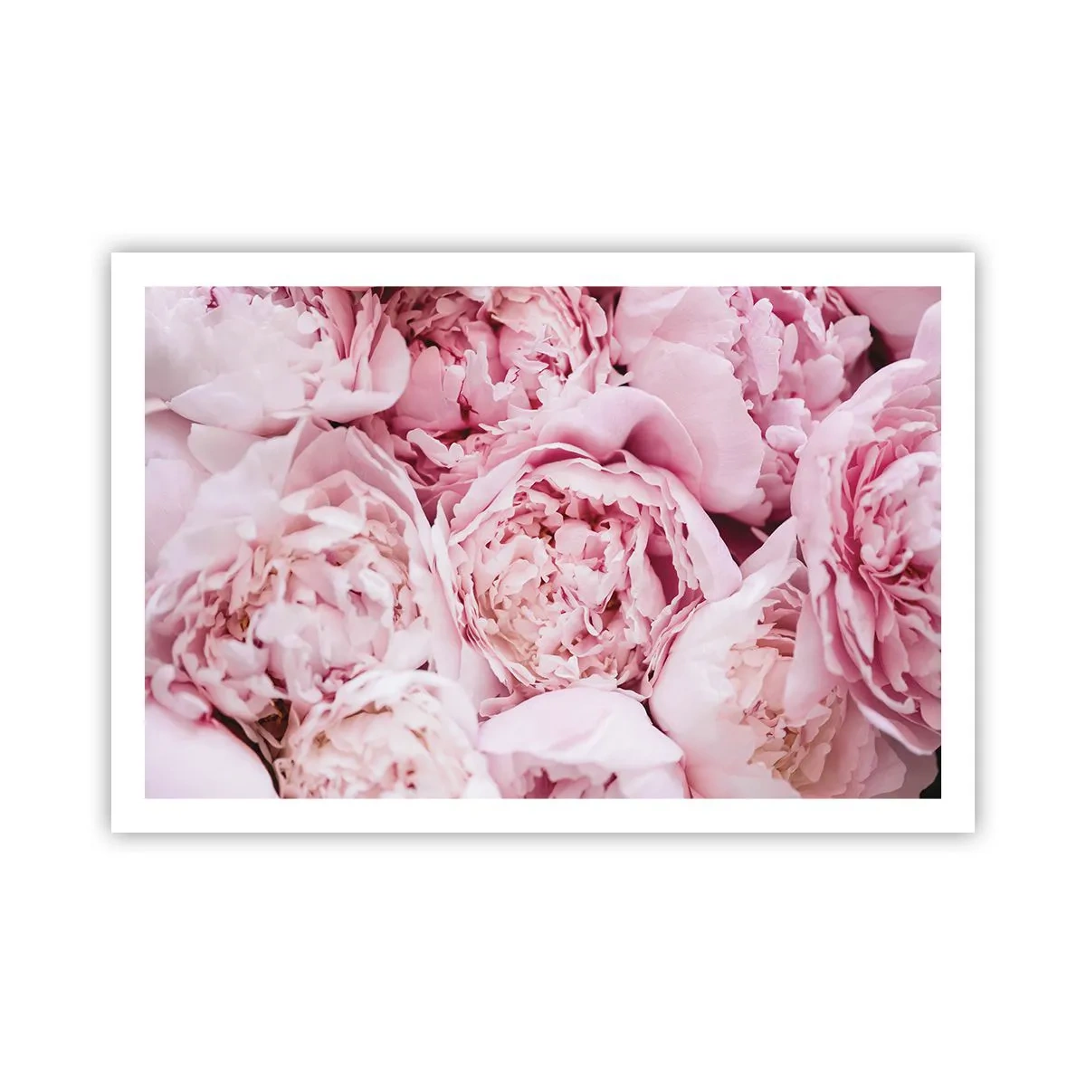 Pôster - Aconchego e perfume - 91x61 cm