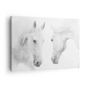 Quadro em tela - Um retrato minimalista de dois cavalos brancos - 70x50cm - Será amizade...? - Decoração de parede moderna para a sala de estar e quarto ARTTOR