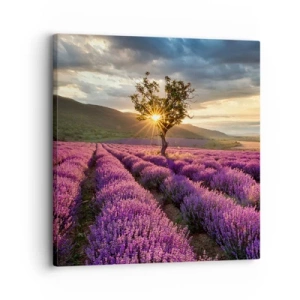 Quadro em tela - Aroma lilás - 30x30 cm