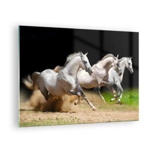 Quadro em vidro - Três cavalos brancos galopando pelo chão arenoso - 70x50cm - Três Graças - Decoração de parede moderna para a sala de estar e quarto ARTTOR