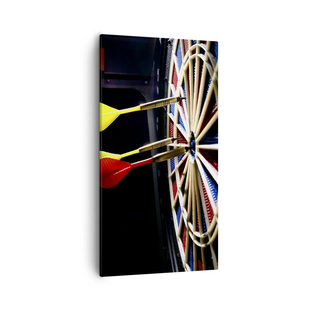 Quadro em tela - Direto ao ponto - 55x100 cm