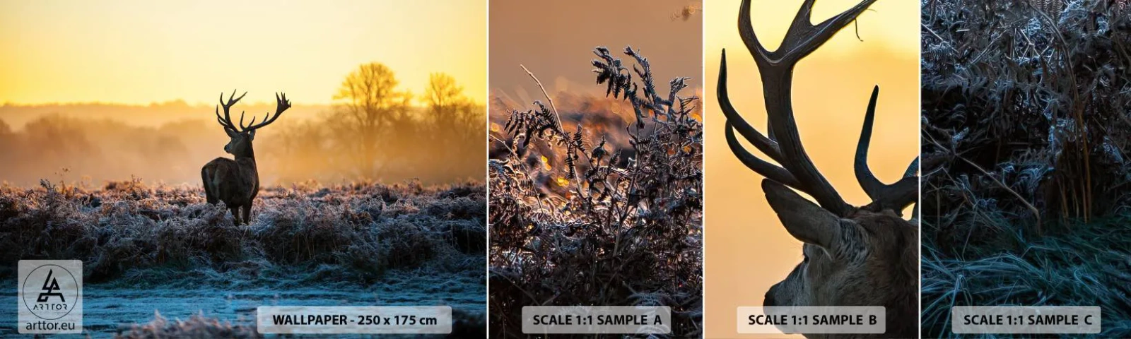 Amostra de Papel de Parede Standard Eco - Coroado em sua terra - Paisagem, Animais, Cervo - 100x30 cm