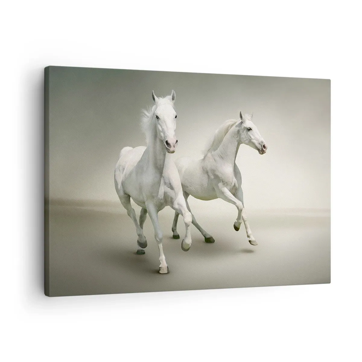 Quadro em tela - Dois cavalos brancos galopando contra um fundo claro - 70x50cm - White power! - Decoração de parede moderna para a sala de estar e quarto ARTTOR