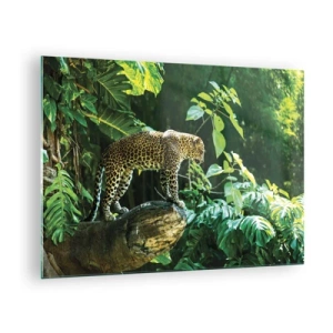 Quadro em vidro - Leopardo em uma rocha na selva tropical - 70x50cm - Vamos caçar? - Decoração de parede moderna para a sala de estar e quarto ARTTOR