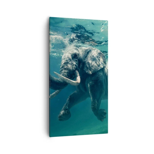 Quadro em tela - Todo mundo gosta de nadar - 55x100 cm