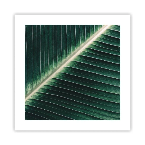 Pôster - O ritmo da natureza - 40x40 cm