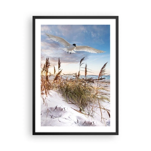 Pôster com moldura preta - Um pássaro voando sobre as dunas e o mar ao pôr do sol - 50x70cm - Vento do mar - Decoração de parede moderna para a sala de estar e quarto ARTTOR
