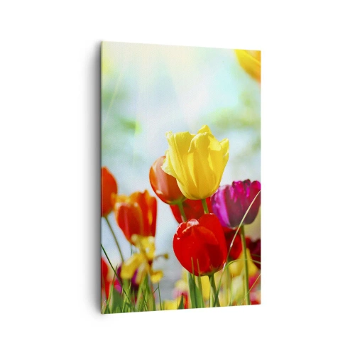 Quadro em tela - Todas as cores do sol - 80x120 cm