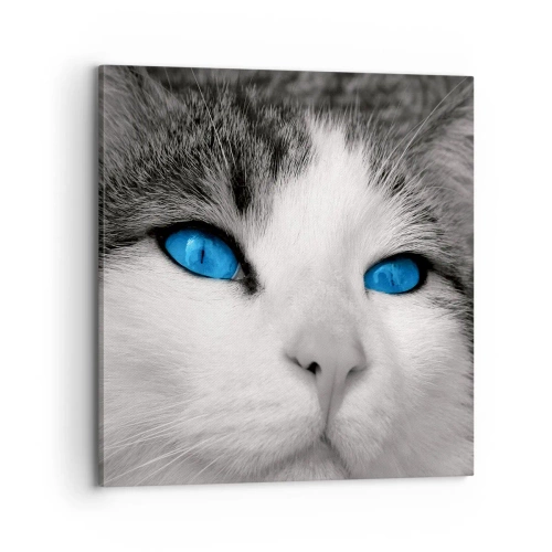 Quadro em tela - Raridade de olhos azuis - 70x70 cm