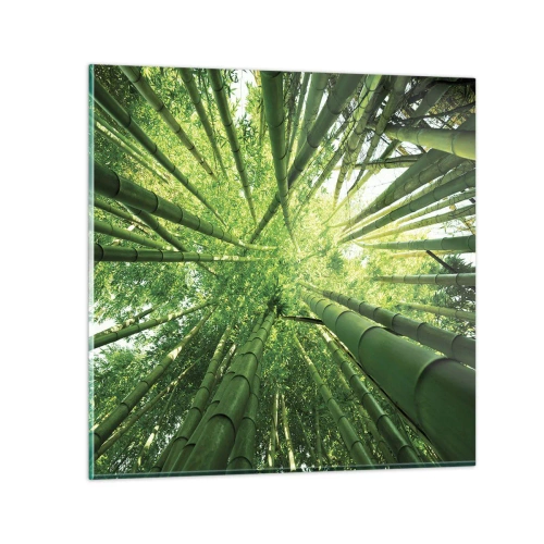 Quadro em vidro - Em um bosque de bambu - 30x30 cm