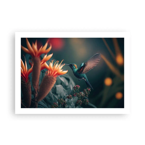 Pôster - Uma vida verdadeiramente colorida - 70x50 cm