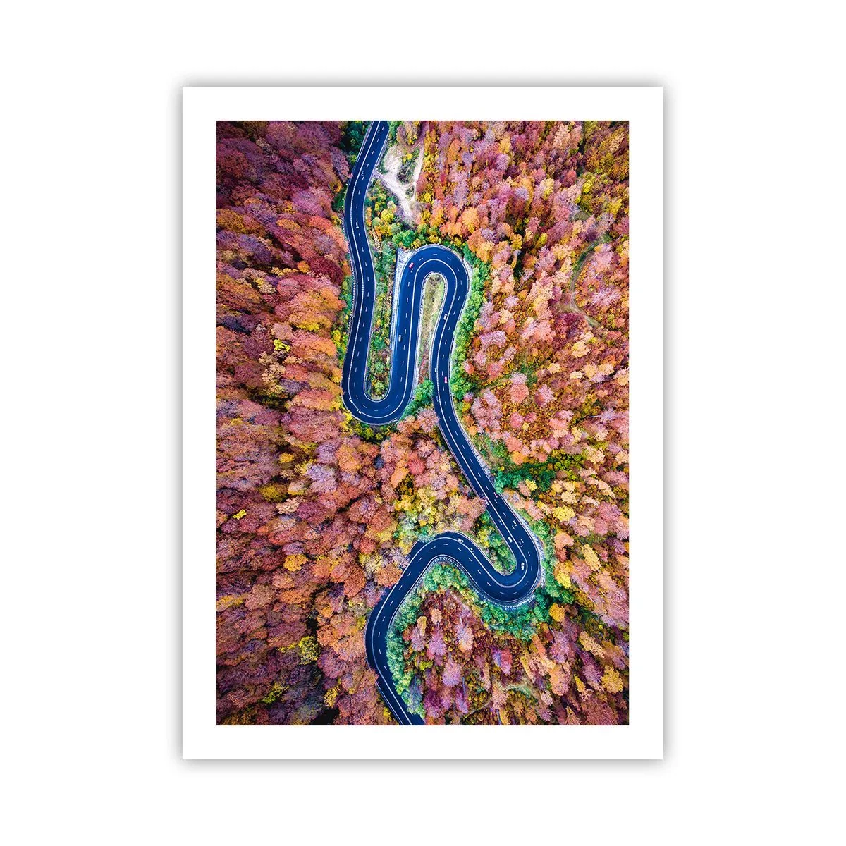 Pôster - Estrada sinuosa pela floresta - 50x70 cm