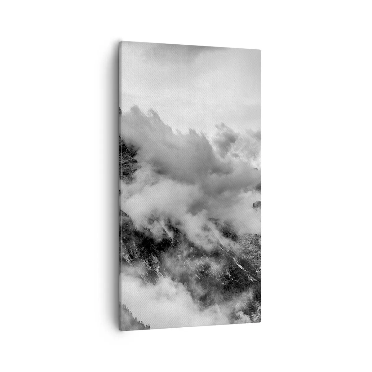 Quadro em tela - Bonitas e cruéis - 55x100 cm