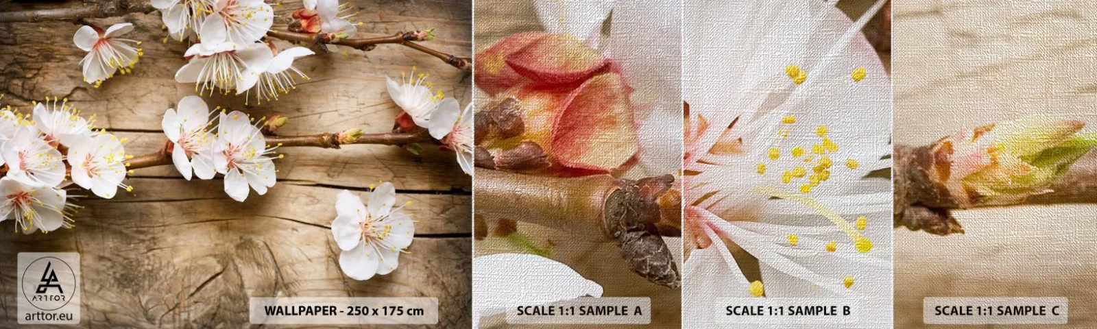 Amostra de papel de parede Premium Canvas - E a primavera chegou - Flores, Galho com flores, Natureza - 100x30 cm