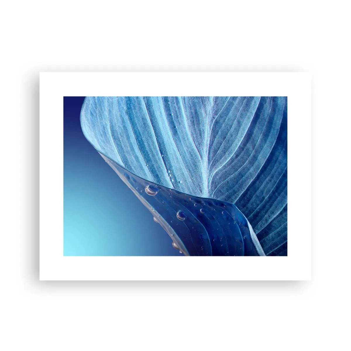 Pôster - Gotas escondidas no azul - 40x30 cm