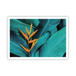 Pôster - Flor do Éden - 100x70 cm