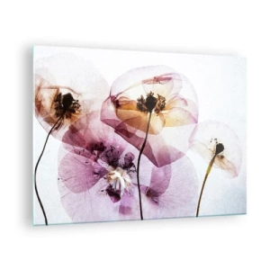 Quadro em vidro - Flores delicadas em tons pastéis transparentes sobre fundo claro - 70x50cm - A transparência das flores - Decoração de parede moderna para a sala de estar e quarto ARTTOR