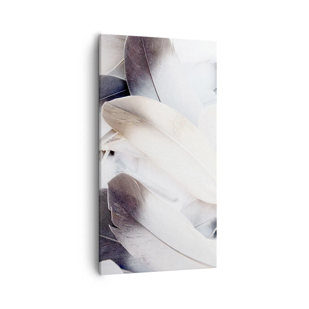 Quadro em tela - Semi-angelical - 55x100 cm