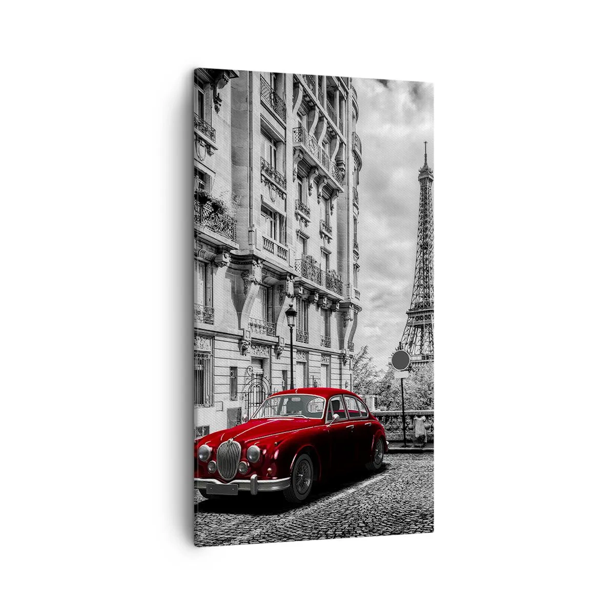 Quadro em tela - Predador na cidade - 45x80 cm