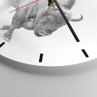 Mostrador com traços