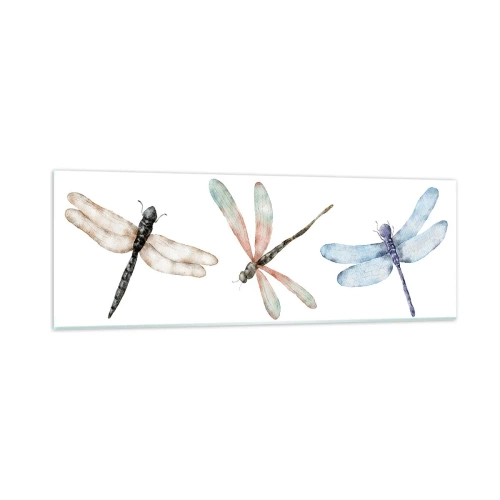 Quadro em vidro - Libélulas sem peso - 90x30 cm