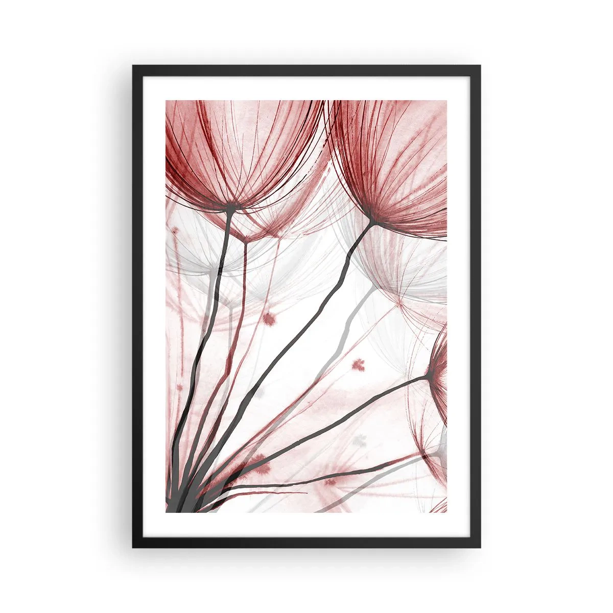Pôster com moldura preta - Dentes-de-leão delicados em tons de vermelho e preto - 50x70cm - Antes da partida - Decoração de parede moderna para a sala de estar e quarto ARTTOR