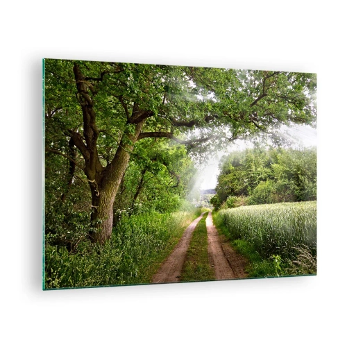 Quadro em vidro - Uma estrada florestal cercada por vegetação sob os raios do sol - 70x50cm - Os pastores de Arcadia - Decoração de parede moderna para a sala de estar e quarto ARTTOR