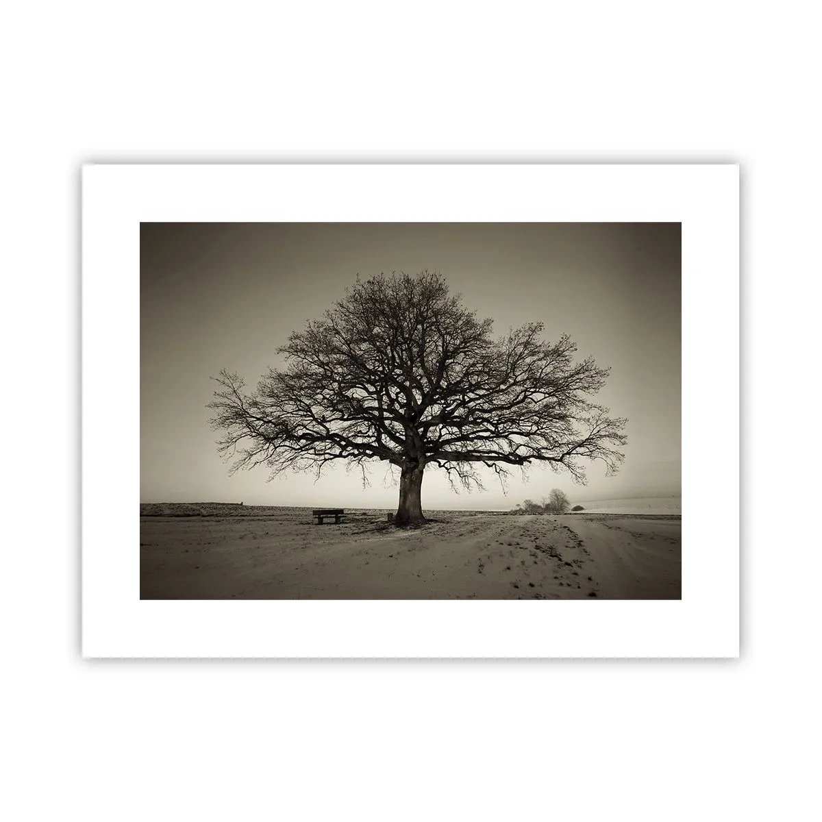 Pôster - Daqui para a eternidade - 40x30 cm