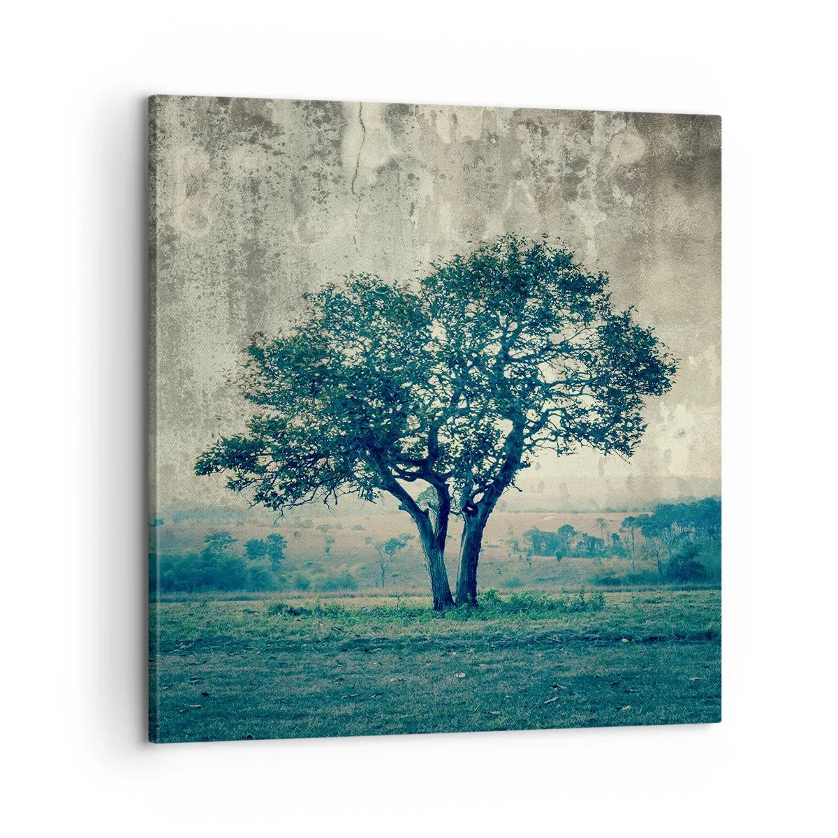 Quadro em tela - Uma macieira num prado azul? - 60x60 cm