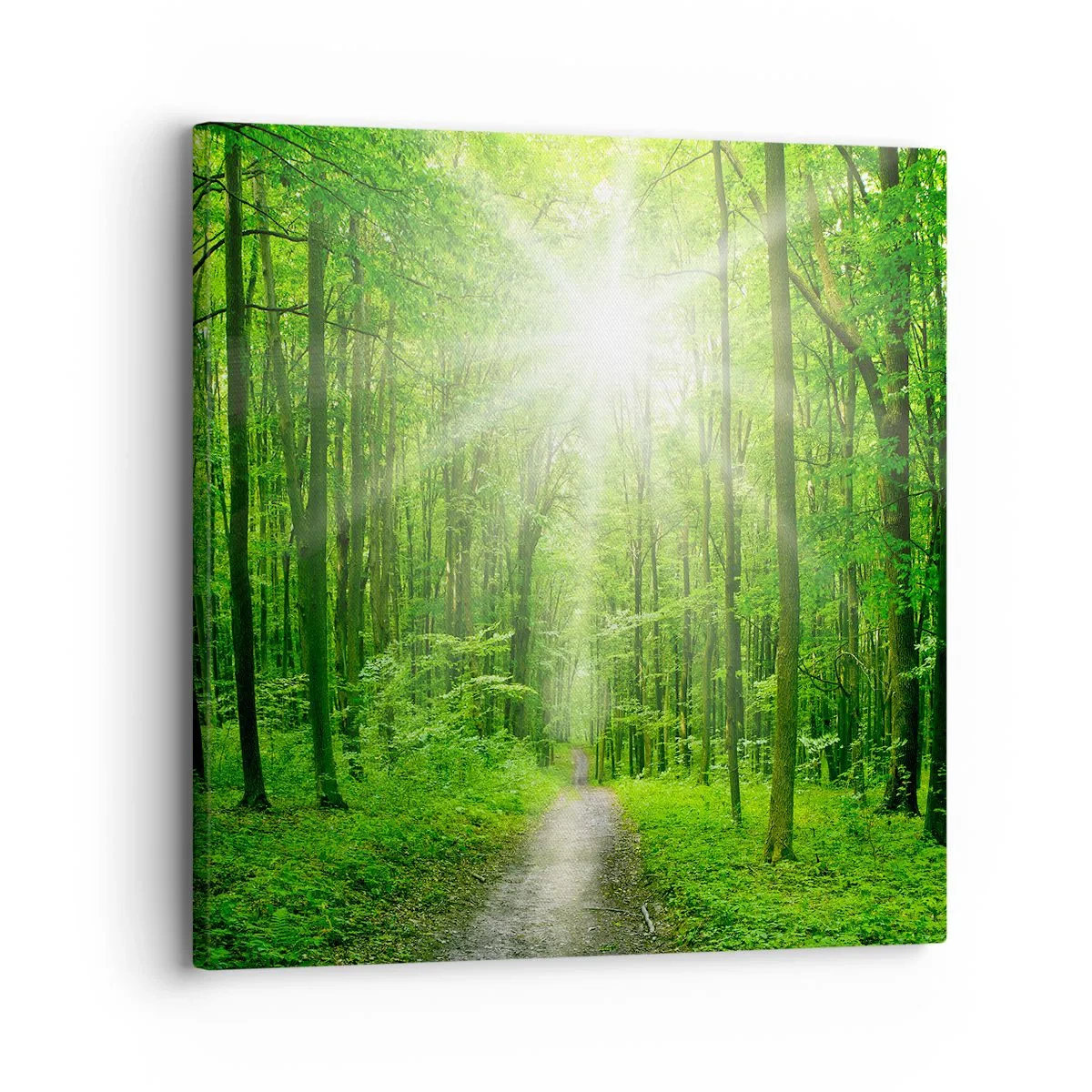 Quadro em tela - Catedral Verde - 30x30 cm