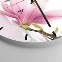 Mostrador com traços