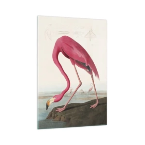 Quadro em vidro - Uma criatura surpreendente - 70x100 cm