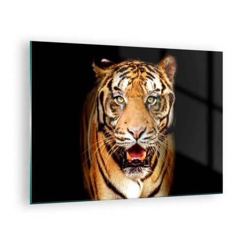 Quadro em vidro - Um tigre em um fundo escuro com um olhar intenso - 70x50cm - Coração selvagem - Decoração de parede moderna para a sala de estar e quarto ARTTOR