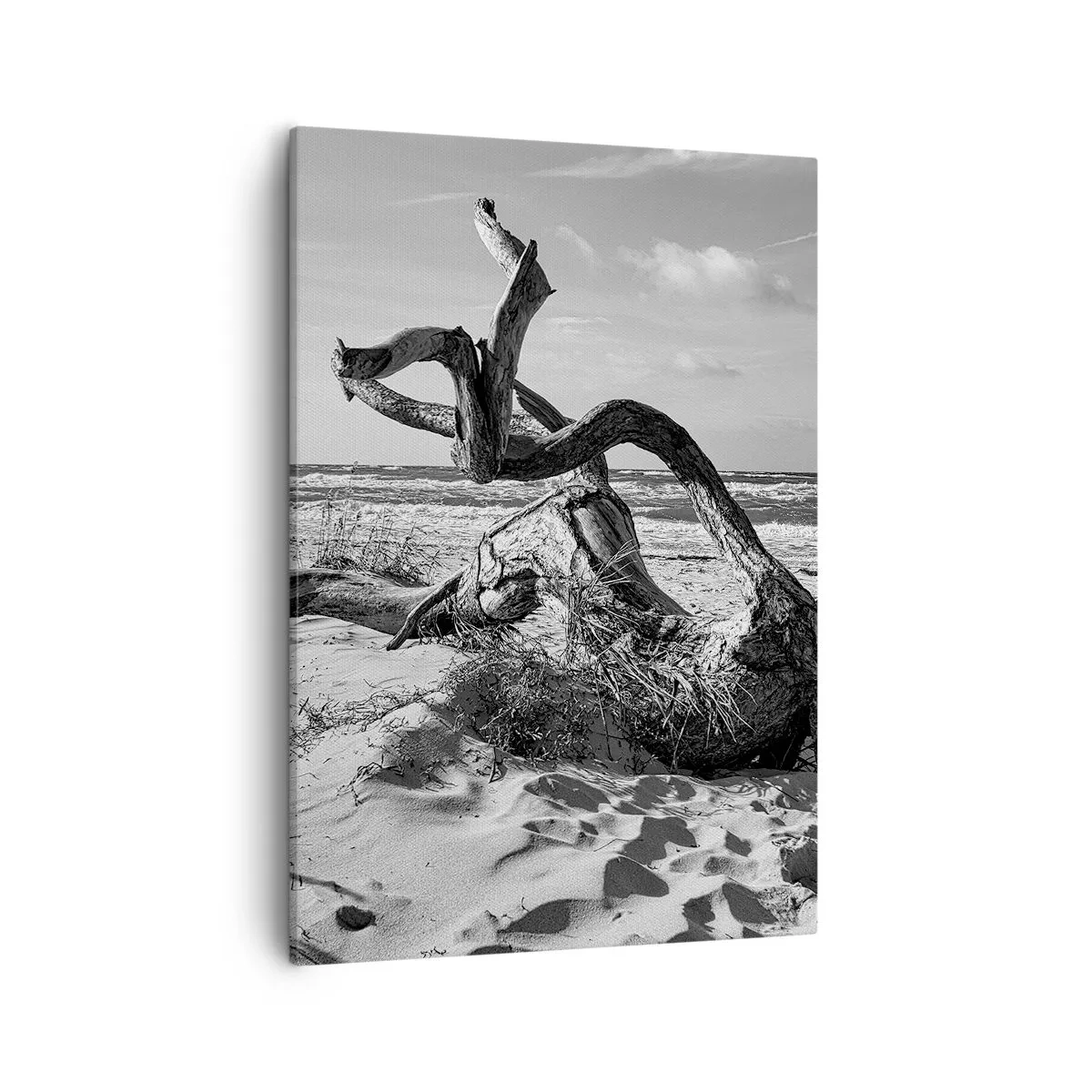 Quadro em tela - Escultura do mar - 50x70 cm