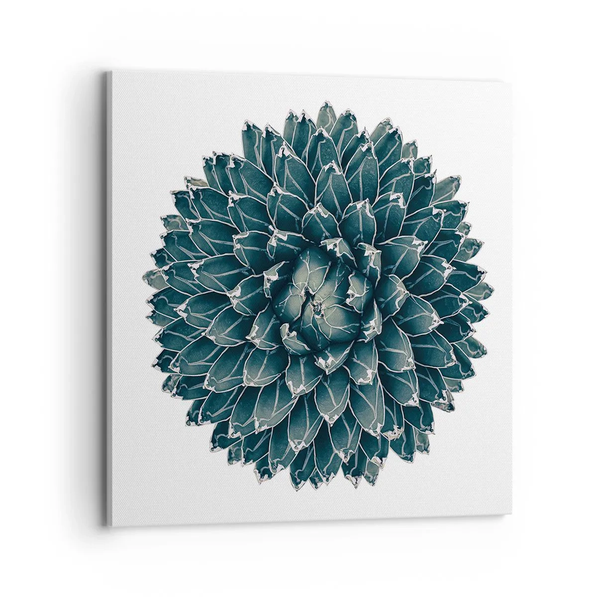 Quadro em tela - Estrela do Deserto - 70x70 cm