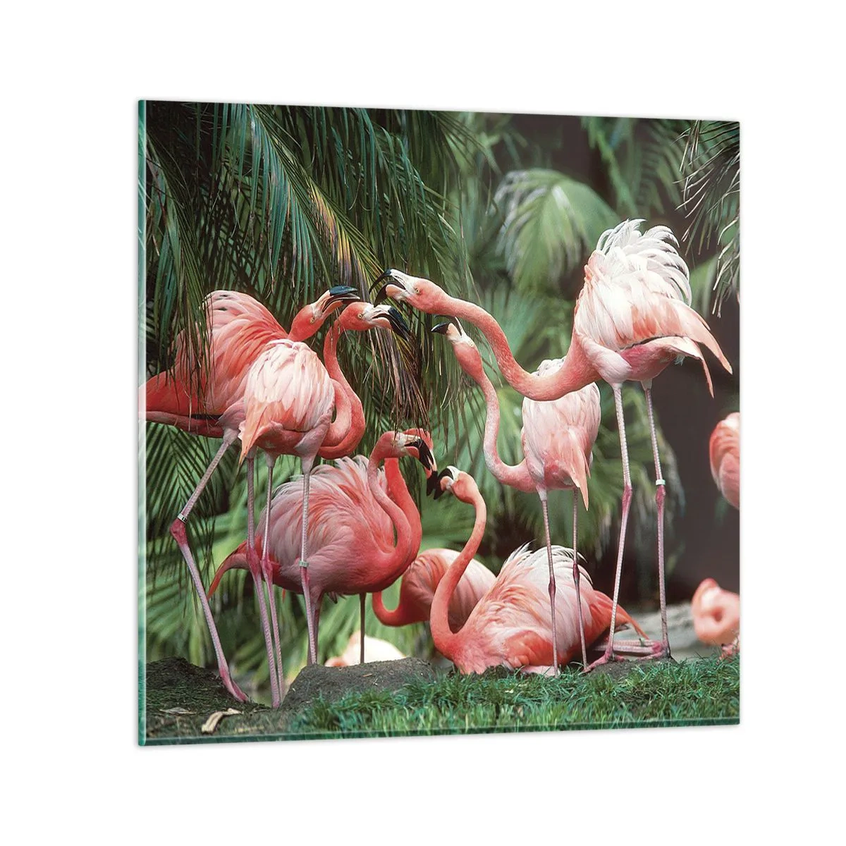 Quadro em vidro - Fofocas da tarde - 70x70 cm